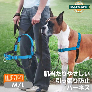 y󂠂z h~ ybgZ[t fbNXC[W[EH[Nn[lX M/L I[Vu[ ^ g[jO т PetSafe v~A COuh Ai Ki ݌ɏ Z[