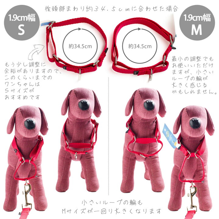 楽天市場】小型犬 首輪 ナイロン ハーフチョーク ペットセーフ 