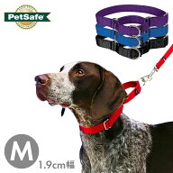 中型犬 首輪 ナイロン ハーフチョーク ペットセーフ プレミアカラー 1.9cm幅 M マーチンゲール PetSafe …