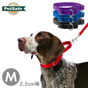 ^ ^  iC n[t`[N ybgZ[t v~AJ[ 2.5cm M }[`Q[ PetSafe COuh Ai [OK