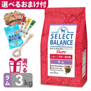 yP10{z hbOt[h ZNgoX ps[   3kg qEꌢp ^ c `Lsgp AQ `LAM[ ᎉb ۑY F  ܂t omkc