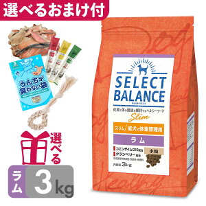 yP10{z ᎉb hbOt[h ZNgoX X   3kg ̑̏dǗp _CGbg  `Lsgp AQ `LAM[ ^ J[ ۑY