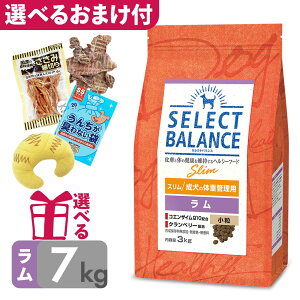 yP10{z ᎉb hbOt[h ZNgoX X   7kg ̑̏dǗp _CGbg  `Lsgp AQ `LAM[ ^ J[ ۑY