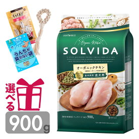 ソルビダ 成犬用 900g グレインフリー チキン オーガニック インドア アダルト プレミアムフード SOLVIDA そるびだ 正規品 おまけ付