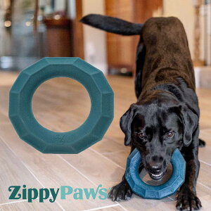 ^  O ZippyPaws ^tvX GhO Wbs[^t Wbs[pEY COuh Ai iiko