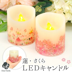  dr LED Lh ƂƂȂ @    XC dq낤 R[hX CX S  茳{ q{ 킢   { W