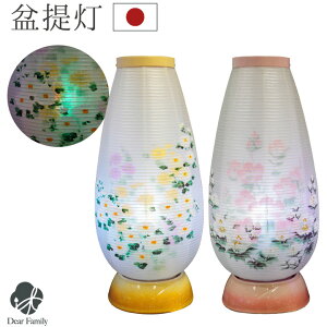 ~ 炬 䂸  Pi 1_ Y RZgR[h LED  茳{ q{ ~{ 킢  V~ ~ ~傤 ~ u[ _