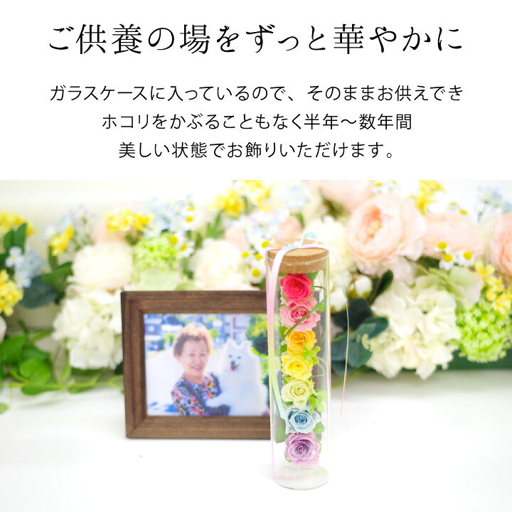 3570円 最新の激安 送料無料 グラスウェアフラワー ローズグラスフレーム 選べる3種類