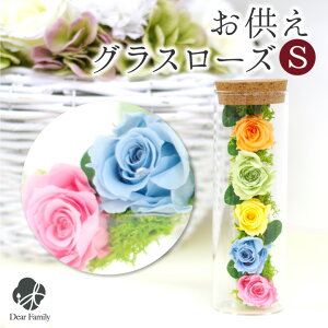  vU OX [Y vU[uht[ S  킢   l\ o KN  蕨 p 蕨 Mtg  茳{ pXe
