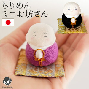  ߂ V IuWF u ~j  RpNg  킢  q{ 茳{ q  F F ~jTCY ybg{ɂ