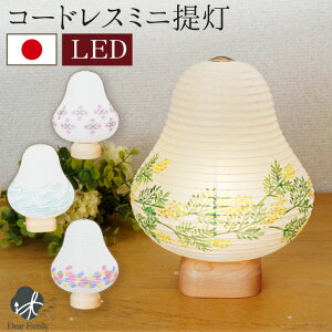 y10|CgҌz~ _ ~ cocolan Pi 1_ LED Cg Y R[hX V~ ~  ~  ~j RpNg 茳{ q{ 킢  傤 