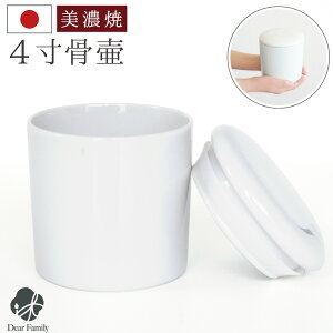  Y pbLt 4 炬 zCg  茳{ Z 4.0   ~j  RpNg 킢 i ⍜ D ┯  Vv ꕨ P[X q{ q V