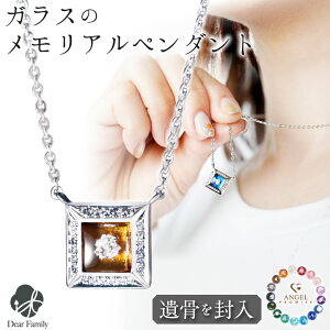 y10%OFFz ⍜y_g KX XNGA y_g _Cht lp` lbNX ⍜WG[  11/30I NS21004⍜ I[_[Ch 茳{  [ H 