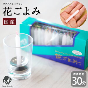 Y 낤 d Ԃ ~j 6cm e Jtc RĎ30 ㎿ ~j낤  { 茳{ ~j Lh   [\N E\N XC  ފ ~ S 