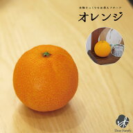 お供えフルーツ オレンジ おれんじ みかん食品サンプル 仏壇 仏具 神具 お供え 仏壇 手元供養 果物 フル…