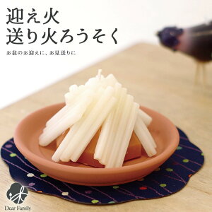 ~ } ΃[\N낤 [\N  茳{ Lh  A 蕨 ̐l̍D TR ߂ {  } ~ ފ M V~ J}