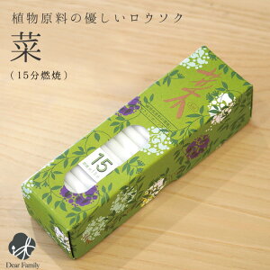 J}[\N15 120{낤 XC  J} Mtg 蕨   ~ i A sai 