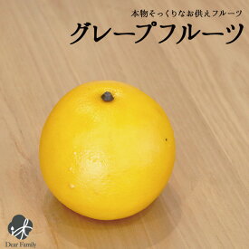 お供えフルーツ グレープフルーツ食品サンプル 仏壇 仏具 神具 お供え 仏壇 手元供養 フルーツ 果物 フェイク サンプル 食品 インテリア 飾り 展示 ディスプレイ 偽物 腐らない 季節 彼岸 お盆 終活 水子供養 水子 供養 法要 49日 夏