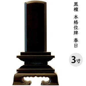 y10|CgҌzʔv h t  3 S15.3cm   茳{ {   ؐ  d ފ ~ 49  ̐l l  @v    I 
