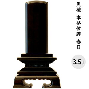 y10|CgҌzʔv h t  3.5 S17cm   茳{ {   ؐ  d ފ ~ 49  ̐l l  @v    I 
