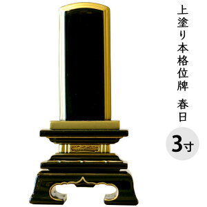 y10|CgҌzʔv h t 3 S15.1cm     茳{ { h   ؐ  d ފ ~ 49  ̐l l  @v    