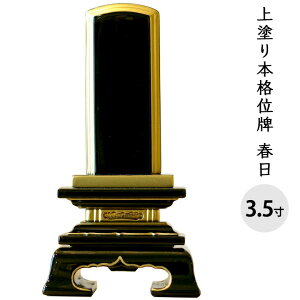 y10|CgҌzʔv h t 3.5 S17.3cm     茳{ { h   ؐ  d ފ ~ 49  ̐l l  @v   
