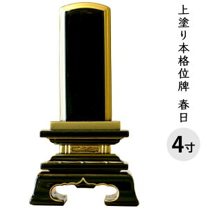 y10|CgҌzʔv h t 4 S19.4cm     茳{ { h   ؐ  d ފ ~ 49  ̐l l  @v    