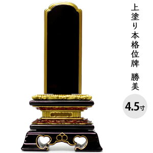 ʔv h  4.5 S21.3cm     茳{ { h   ؐ  d ފ ~ 49  ̐l l @v     I