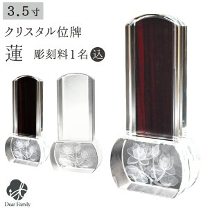 ʔv NX^ @ h h NA ꖳNX^ʔv _  A 茳{ { ʔv q q{ Ԃ    l\ 49 vw ԗ v 