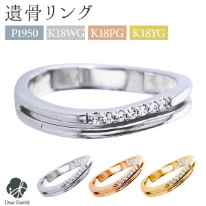 ⍜ANZT[ O KIRAMEKI w a ⍜ JR022 TOMONi ⍜WG[ 茳{  [ ⍜ H A ANZT[ D q  TOMONi ߍ v`i VR 18 p[