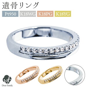 ⍜ANZT[ O KIRAMEKI w a ⍜ JR023 TOMONi ⍜WG[ 茳{  [ ⍜ H A ANZT[ D q  TOMONi ߍ v`i VR 18 p[