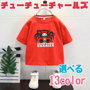 y[zchoo choo charles XebJ[v[g  TVc LbY j̎q ̎q  g[i[ T XEFbg `[`[`[Y ߕ ĕ H t H w ʊw  