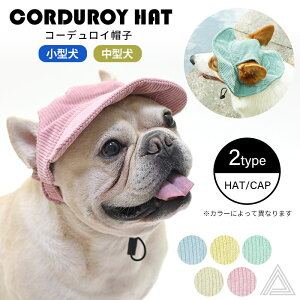 R[fCXq nbg Lbv 2type oXq  ῂy z O΍ ΍ ToCU[ 킢 AEghA ybgXq t  yAbN  v[