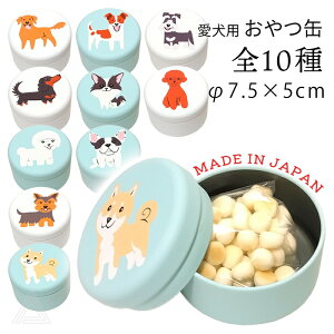 y{z   S10 p   킢 v[g Mtg 傳 ObY o G gтP[X S[fgo[ _bNX ` gCv[h