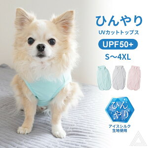  UVJbg gbvX Jbg\[ UPF50 ڐG⊴ Ђ ACXVNf Ăh~ [ht Xgb`f TT тtɂ t`uhbO tu uh[