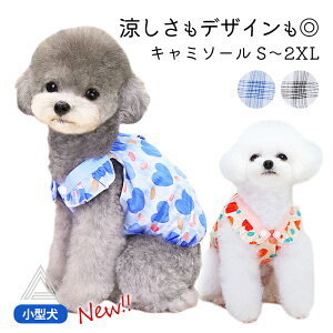 1000~ۂ ^ L~\[  XJ[g n[g gCv[h ` }`[Y |jA   t   hbOEFA Be a  u[ I