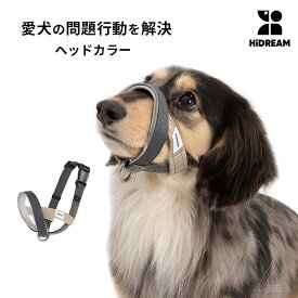 【送料無料】引っ張り防止 ヘッドカラー ジェントルリーダー S M L XL 小型犬 中型犬 大型犬 トレーニング 問題行動 拾い食い 飛びつき マズル装着 コントロール 散歩 便利アイテム トレーニンググッズ 安全 安心 おしゃれ【HiDREAM】【HD029013】