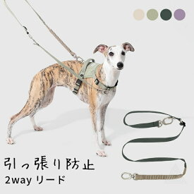 新作 犬 リード 引っ張り防止 衝撃吸収 しっかり 長さ調整可能 一時係留 フレブル フレンチブルドッグ 小型犬 中型犬 全4色 犬用 散歩用リード 丈夫 軽量 シンプル チワワ トイプードル マルチーズ テープ型 【HiDREAM】【HD029008】