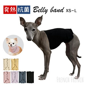 NEW  z M R hL ͂܂  2way V^݌v t[X Lт  H ~   y  ۉ Lk tu ` t`uhbO pO C^O gCv[h 