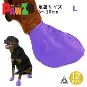 y12 LzPAWZ hbOu[c 12 ^ ^ ̌C hbOV[Y Su[c dog |EY SD o[V[Y  K D \bNX ی MH ̌C 12Zbg J