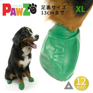 y12 XLzPAWZ hbOu[c 12 ^ ^ ̌C hbOV[Y Su[c dog |EY SD o[V[Y  K D \bNX ی MH ̌C 12Zbg J