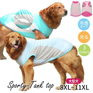 ^Ngbv ⊴^Cv    tNeBu   U S  ^ ^  X|[eB ₷ Ȃ 傫TCY S[fgo[ uh[ 