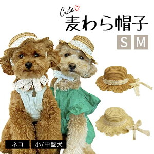 ybgpXq Xq t  Xq ANZT[  p tu 悯 y x[W uE { K[[  nbg Xg[nbg gCv[h ` _bNX |