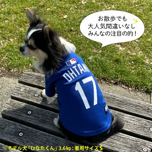 hW[X JW[W@zCg u[ J ĕ MLB T[X hW[X JĕI胂f jtH[ 싅 W[W zCg XS`XL Los Angeles Dodgers ybg  SHO-4006