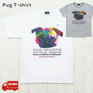 TVc pO lp  Ȃ jZbNXEvgTVc O[ zCg  TVc Y fB[X Rbg100 KM703TS