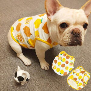   t tu ^Ngbv ^ 킢   t`uhbO hbOEFA _bNX ~j`A|jA [L[ V[Y[ }`[Y LoA pO KM20