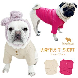 yЃIWiz   TVc btTVc 萶n sN x[W O[W tu t`uhbO pO bt Vv [EFA  