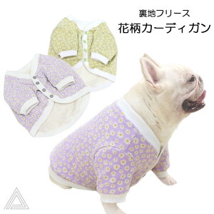 t`uhbO   ԕJ[fBK nt[Xf f H ~ w\J[fBK J[fBK ɒg tu uq  p[v O[ ԕ  