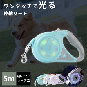  LED Lk[h Cgt 5m 5[g [h e[v^ LEDƖ d O[h 莮 hbO[h ybg莮 p[h  UpCgt ^b` ^