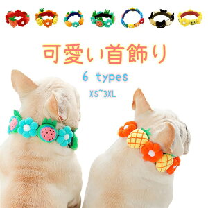  lbNANZT[ lN^C t`uhbN {  킢 L CX^f  pCibv nC lbNX p[eB[   t  ybgpi a